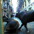 San Fermin